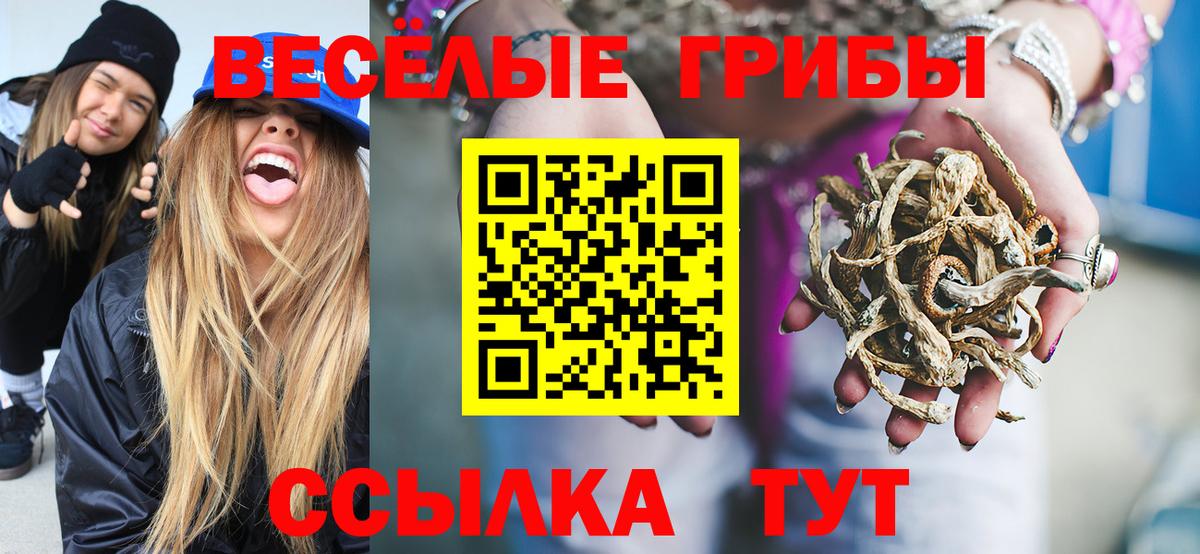 Отрадное  Псилоцибиновые грибы MAGIC MUSHROOMS  Вход с VPN  Псилоцибиновые грибы GOLDEN TEACHER 